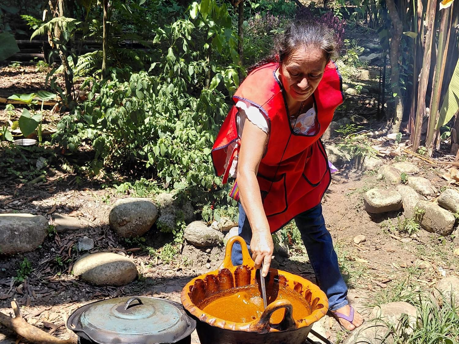 Cocina orgánica de Nancy — ingredientes vivos de la milpa maya, La Ventana Palenque