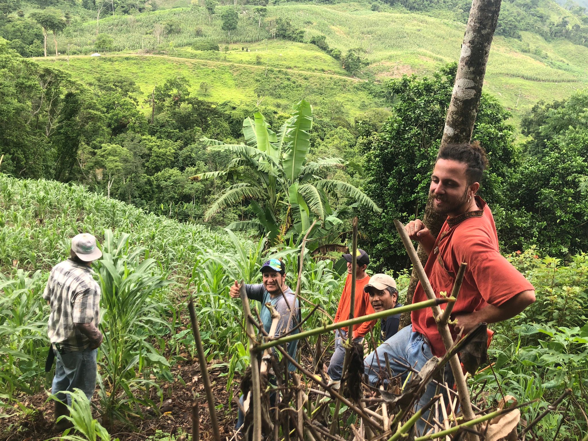 El territorio de La Ventana — santuario vivo en la Selva Maya de Palenque